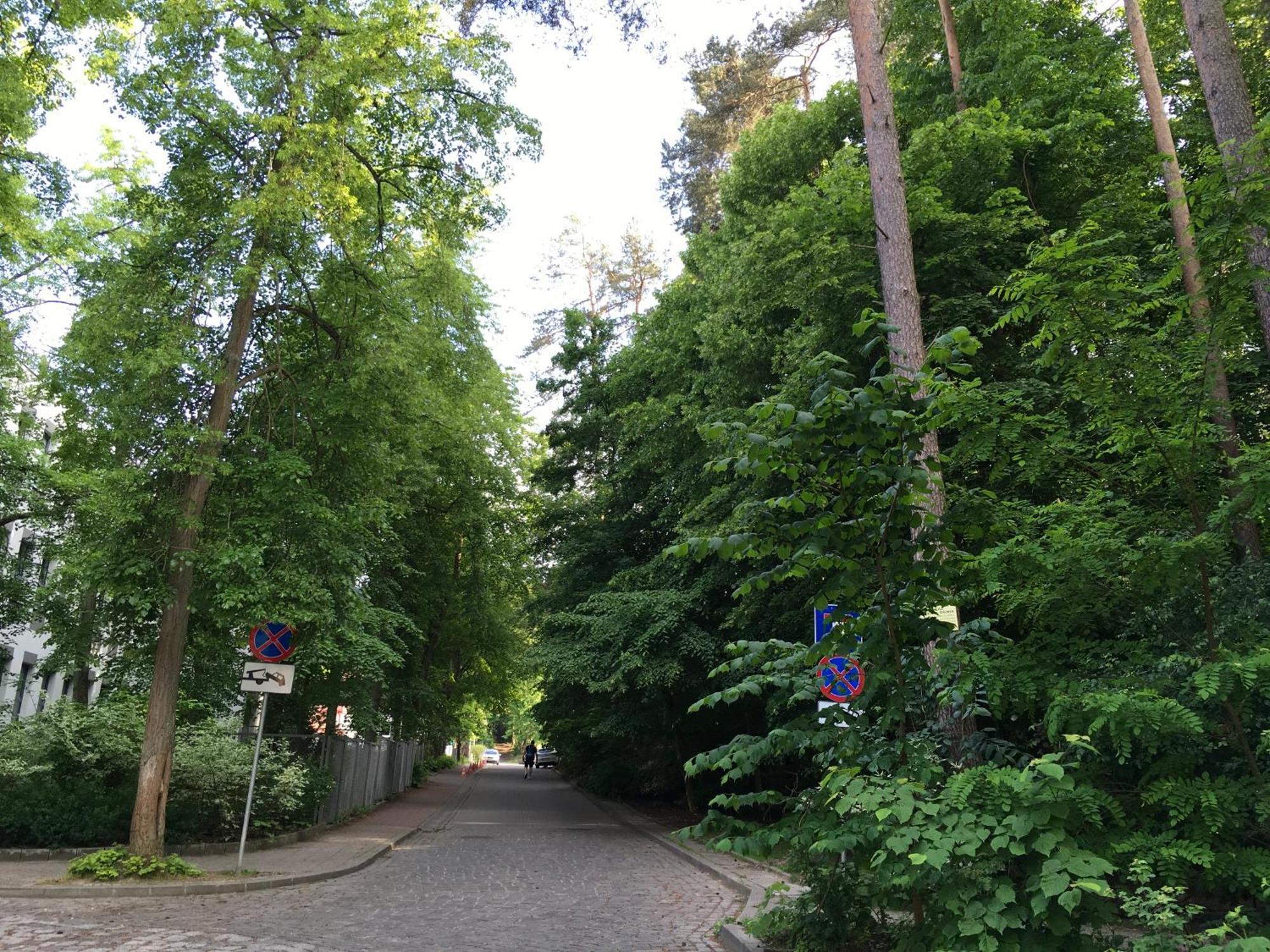 Przytulny Apartament Blisko Lasu Z Szybkim Wi-Fi ソポト エクステリア 写真